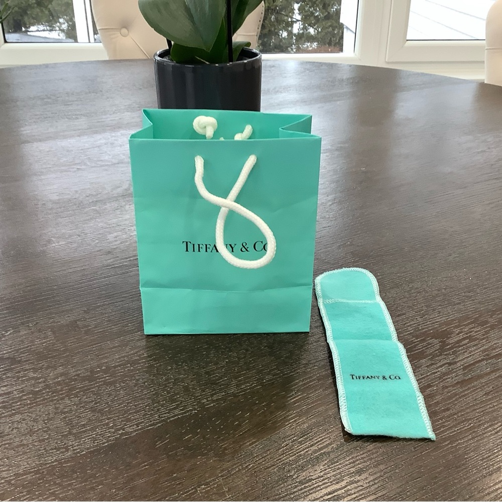 Tiffany & Co. Turquoise Bag and Pouch Set